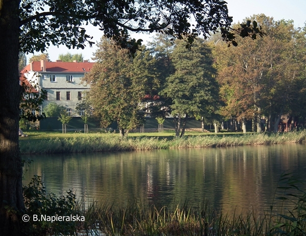 Miedzychód